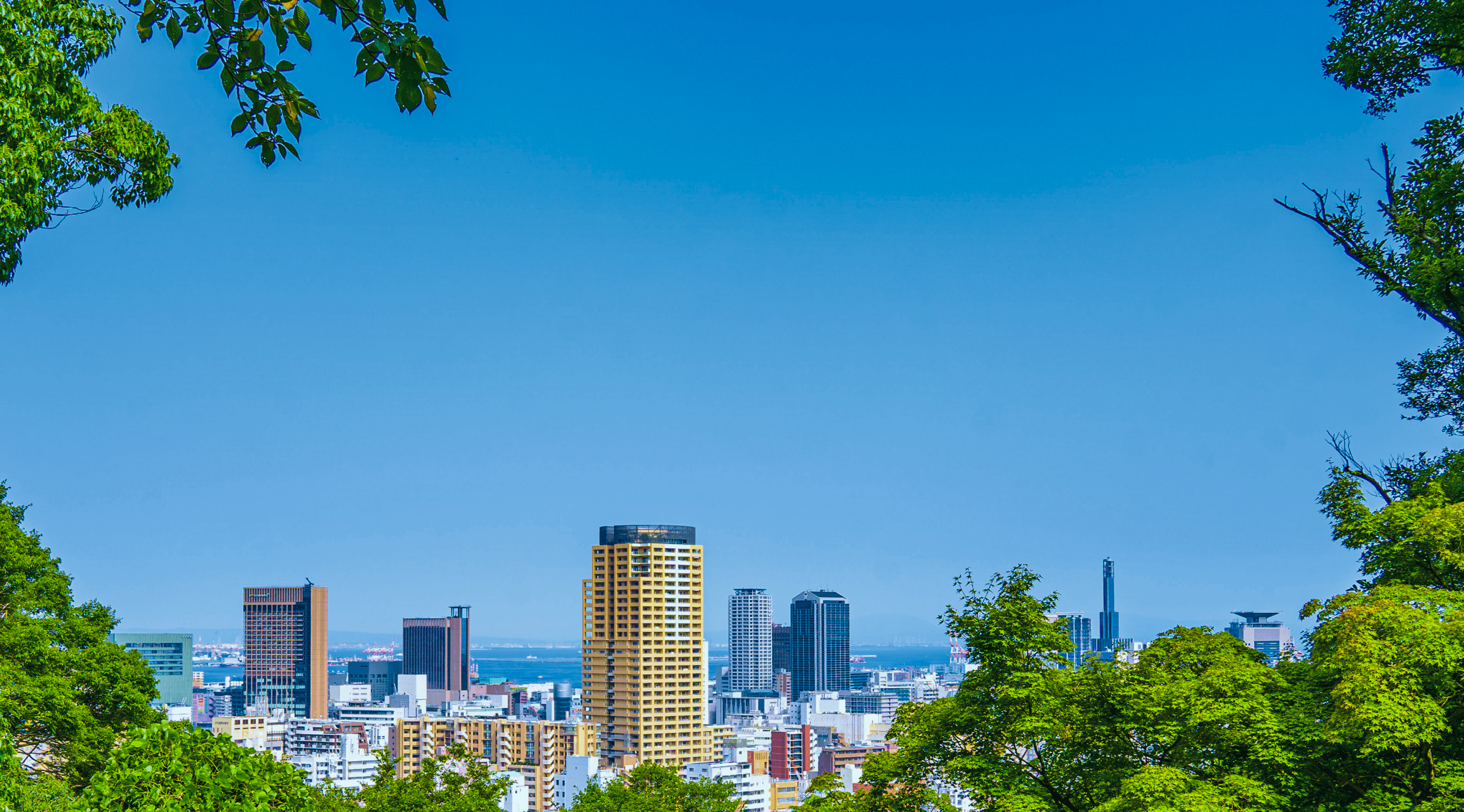 青空の下の町の写真
