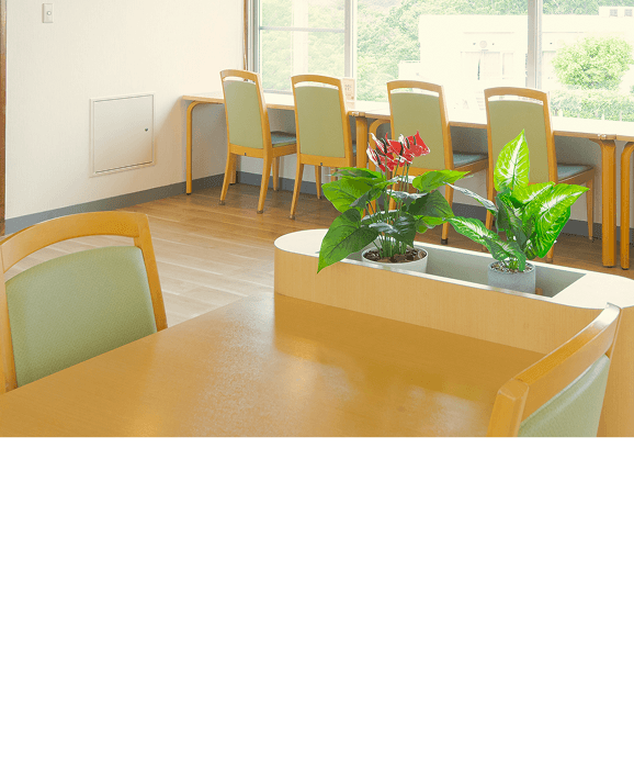 飾られた花の写真